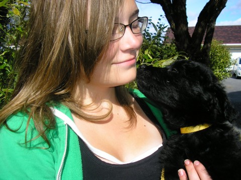 Tohelo