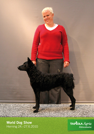 Tuus Hiinokka