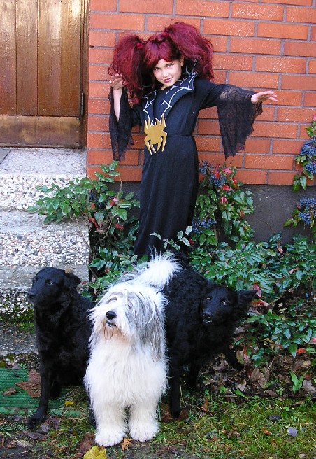 [Spider Girl + Dogs]