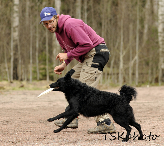 Kirva & Frisbee