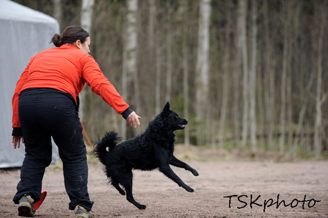 Kirva & Frisbee