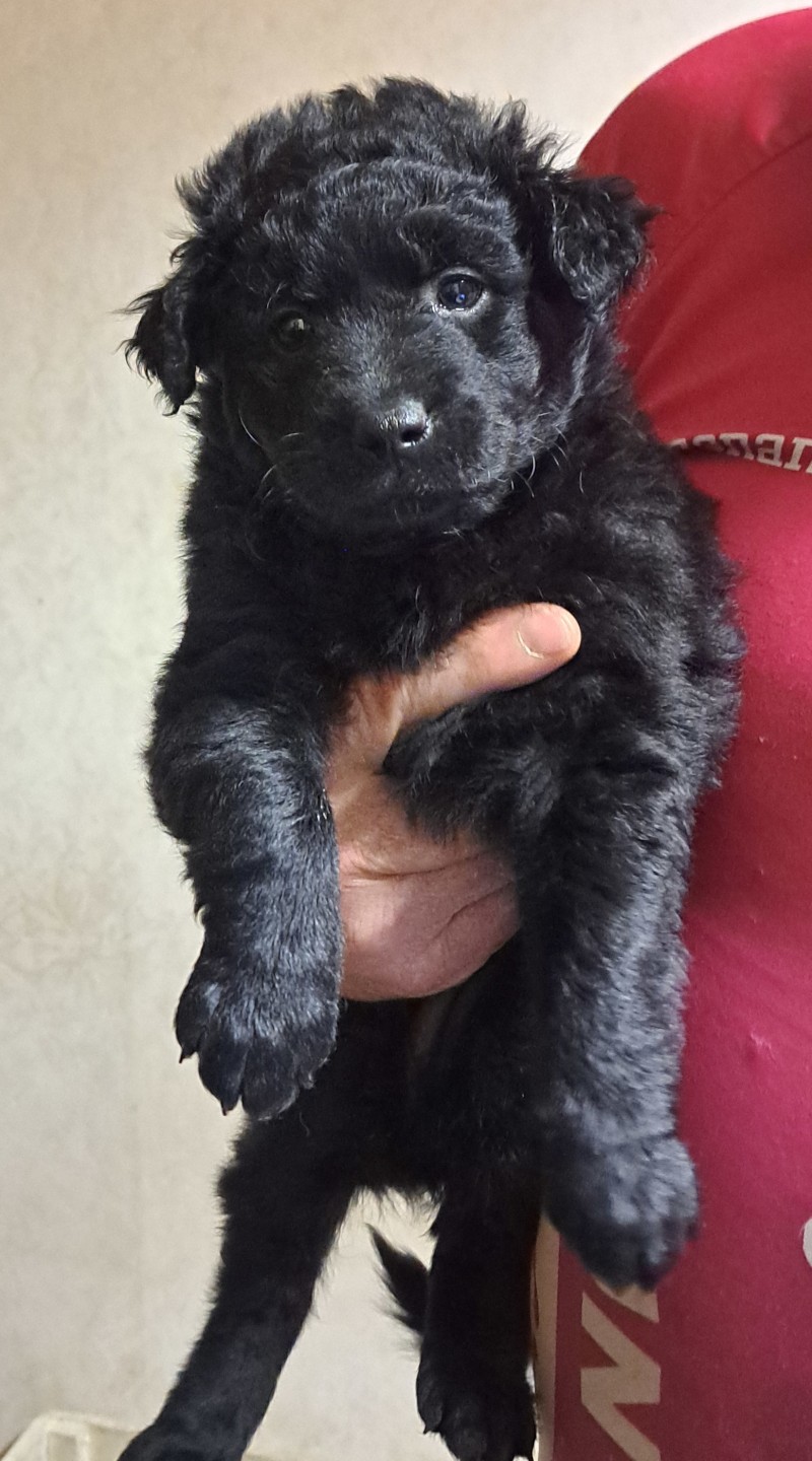 Tuus
Päivätär 5 weeks