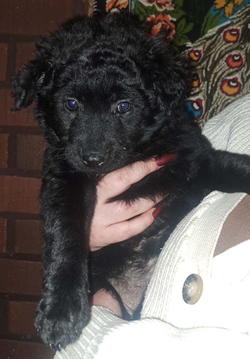 Tuus
Päivätär 7vk