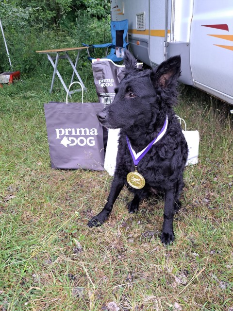 [Pii SM1 Snooker, kuva]